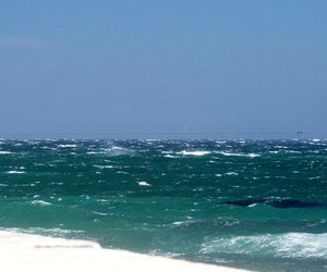 Bote staan saam in nood